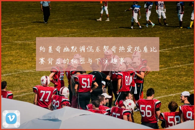 约基奇幽默调侃东契奇热爱观看比赛背后的秘密与下注趣事
